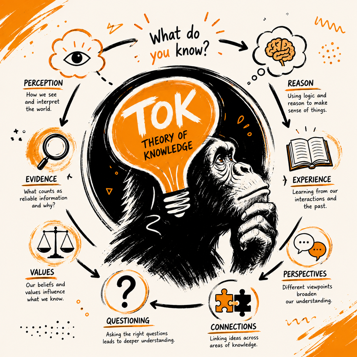 TOK Objects